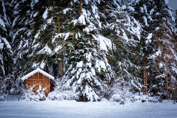 payolle lake landscape in winter