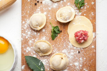 Meat dumplings. Raw dough with minced meat for dumpling on white background 