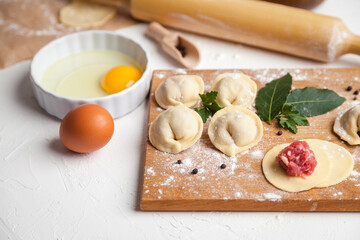 Meat dumplings. Raw dough with minced meat for dumpling on white background 