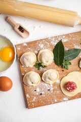 Meat dumplings. Raw dough with minced meat for dumpling on white background 