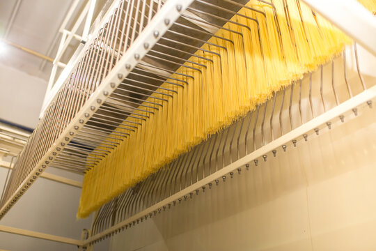 Pasta factory conveyor for pasta production of flour products. Technological production factory industrial work. Raw macaroni close-up with copy space.