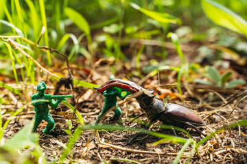 Bug. Beetle and plastic toy soldiers.