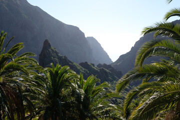 Fototapeta na wymiar Tenerife
