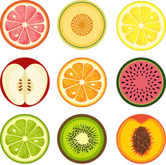 Set of round summer fruit slices