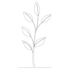 plant line drawing , sketch,vector