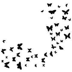 Naklejka na ściany i meble flying butterflies, black silhouette, isolated vector