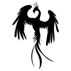 phoenix bird, firebird black silhouette