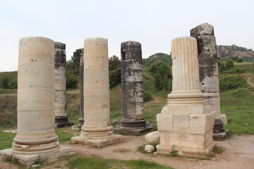 Naklejka premium ev eski vıntage manzara arka plan güncel içerik doğa hayvanlar deniz gezi kayık cami türkiye kasnak nakış tatlı yemek pasta eat 