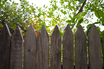 wooden fence at the house in the meadow, you can see leaves from the trees behind the fence.