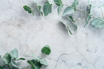 Eucalyptus leaves on stone table. Frame made of eucalyptus branches. Flat lay, top view, copy space