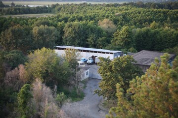 Fototapety na wymiar - Fototapeta24.pl