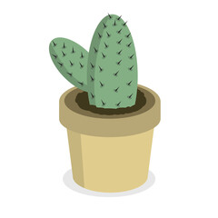 cactus in flowerpot