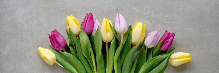 Panoramic banner with fresh spring tulips in various colors. Yellow, magenta and pink tulips. Minimal simple arrangement. Flat lay on light grey stone background.