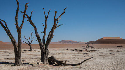 Namibia, Dead Vlei, Namib-Naukluft Park