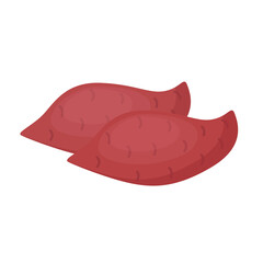 Sweet potato, whole tubers on white background. Vector illustration