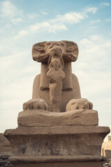 Fototapeta na wymiar egypt