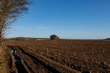 A Rural South Downs Farm Landscape on a Sunny Winters Day