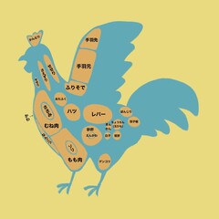 鶏肉の部位イラスト