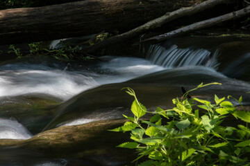 cascate romane