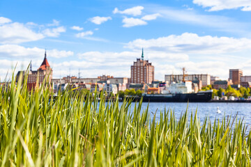 Old Town at Green Waterside / Beautiful view through reed grass over water of Warnow river toward city harbor and cityscape of Rostock at background (copy space)