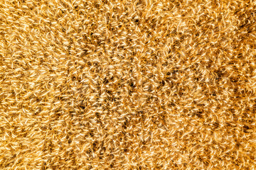 Ears of golden wheat close up., aerial view.