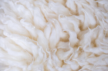 White animal fur. Weasel or cat hair. Fur clothes, white fur coat close up.