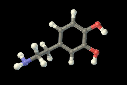 Dopamine molecule, 3D illustration
