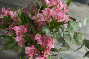 bouquet of pink alstroemeria close-up
