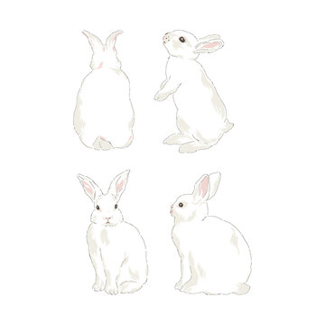 Cute spring Easter bunny hand drawn vector illustration set isolated on white. Vintage classic aesthetic print.