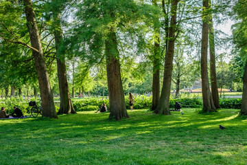 Amsterdam City Center Summer