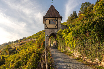 scenic view of historic vineyards and halftimber tower in late summer in Esslingen am Neckar germany from neckarhalde