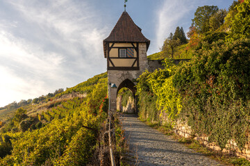 Obraz premium scenic view of historic vineyards and halftimber tower in late summer in Esslingen am Neckar germany from neckarhalde