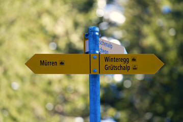 Yellow sign post of hiking trails on a sunny winter morning at Winteregg Mürren at Bernese Highlands. Photo taken January 15th, 2022, Lauterbrunnen, Switzerland.