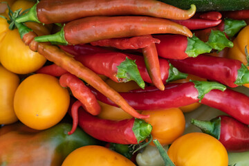 A beautiful set of colorful vegetables