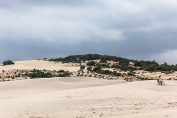 Desert sands on Patara beach as known as "Patara Kum Tepeleri"
