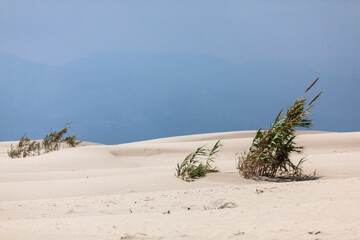 Desert sands on Patara beach as known as "Patara Kum Tepeleri"