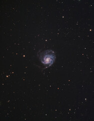 The Pinwheel galaxy