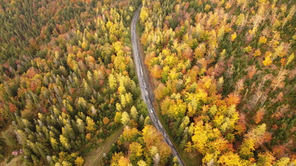autumn mountain road