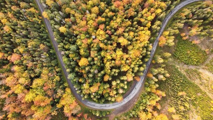autumn mountain road