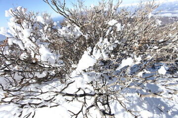 冬の赤城山