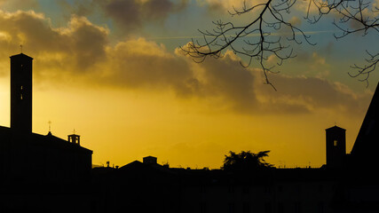Winter in Lucca. City center ancient skyline silhouette with bare tree branches
