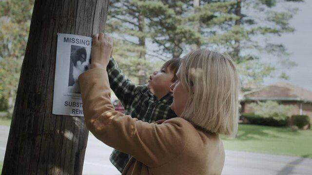 A mother and a young boy attach an announcement about a missing puppy together. Search and disappearance of pets