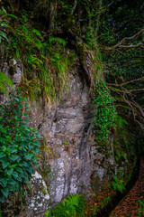 Madeira - Santo António da Serra