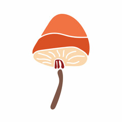 Mashroom hand drawn element. Jpeg image.