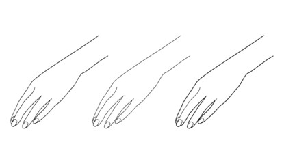 Graceful female hand. Gestures. Line drawing. Vector illustration