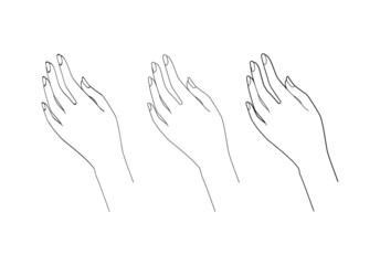 Obraz premium Graceful female hand. Gestures. Line drawing. Vector illustration