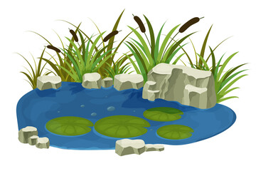 Lake, swamp with stones, bulrush lily leaves in cartoon style isolated on white background. Forest fantasy scene, wild nature. © Alyona