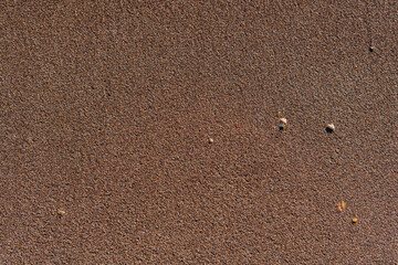 Fototapeta na wymiar Rough Sea beach sand surface texture, Seamless background, Close up Top view