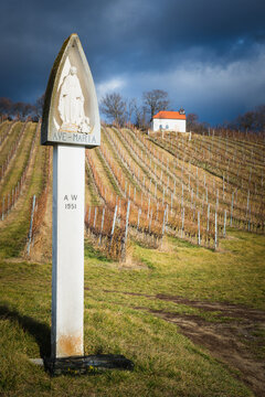  Waycross at a vineyard in Burgenland with a statue of saint rosalita