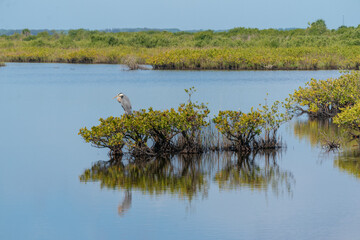 View from Merritt Island, Brevard County, Florida.